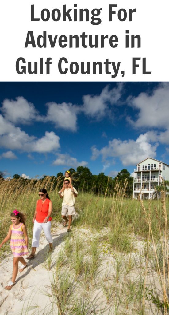 Looking For Adventure in Gulf County, Florida
