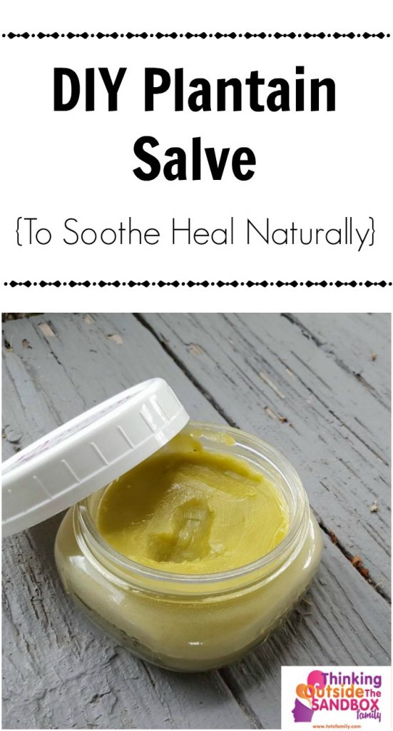 Make Plantain Salve At Home (To Soothe & Heal Naturally)