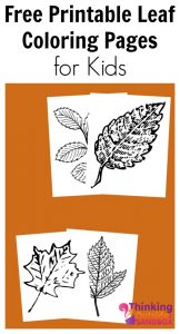 Free Printable Leaf Coloring Pages for Kids