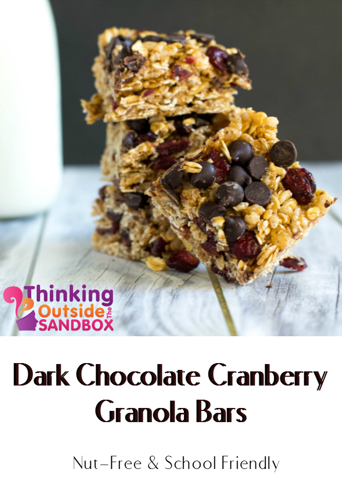 Dark Chocolate Cranberry Granola Bars