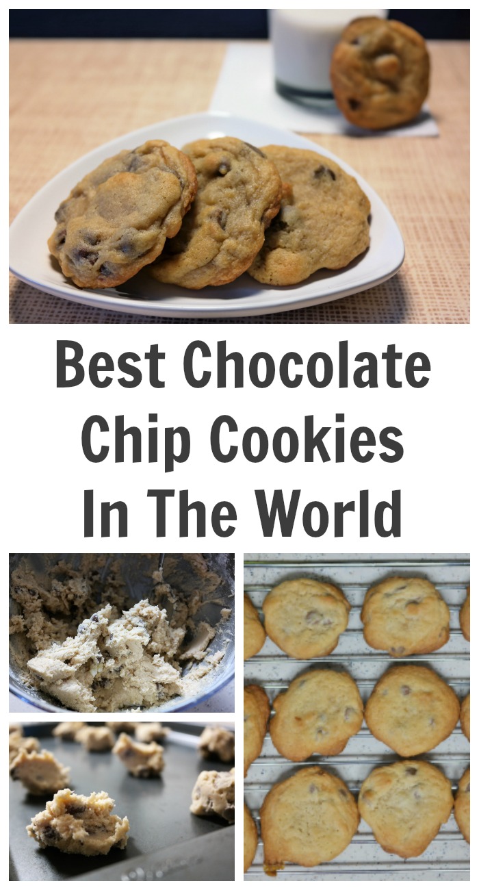 The Best Chocolate Chip Cookies In The World